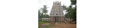222. திருநாவலூர்
